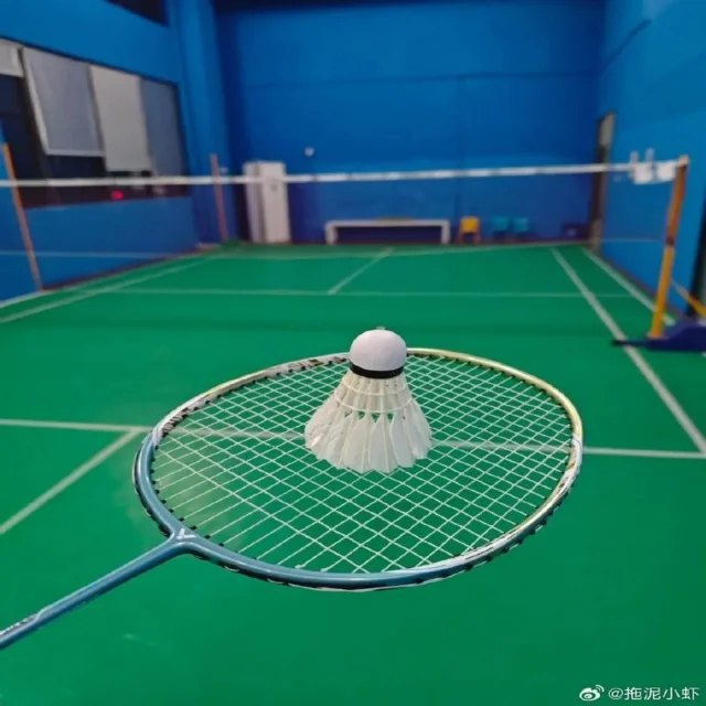 林诗栋状态回升备战未来赛事